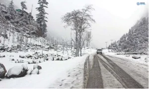 Punjab cold wave